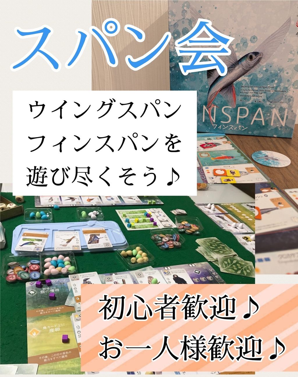 スパン会の画像（0）