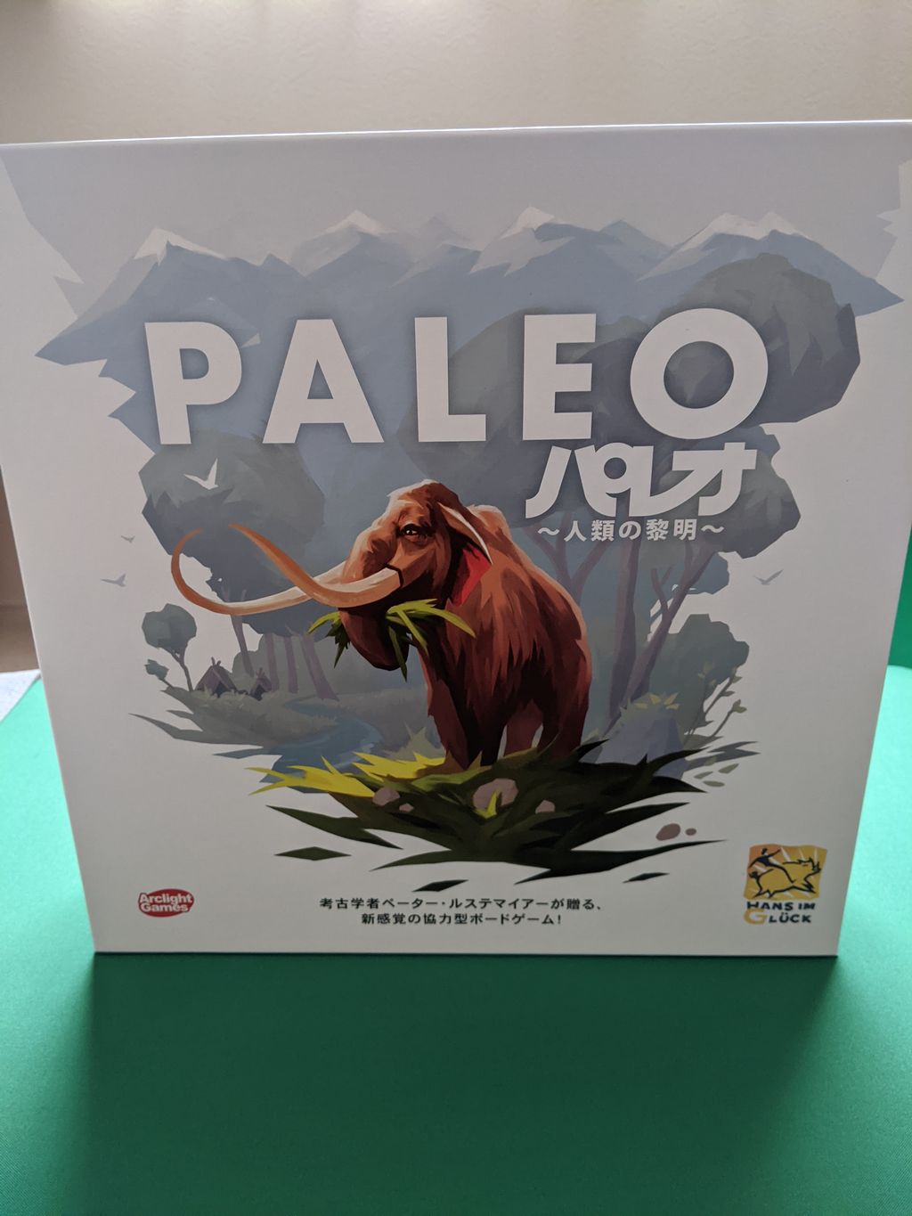 パレオ ～人類の黎明～ 完全日本語版｜ボードゲーム通販