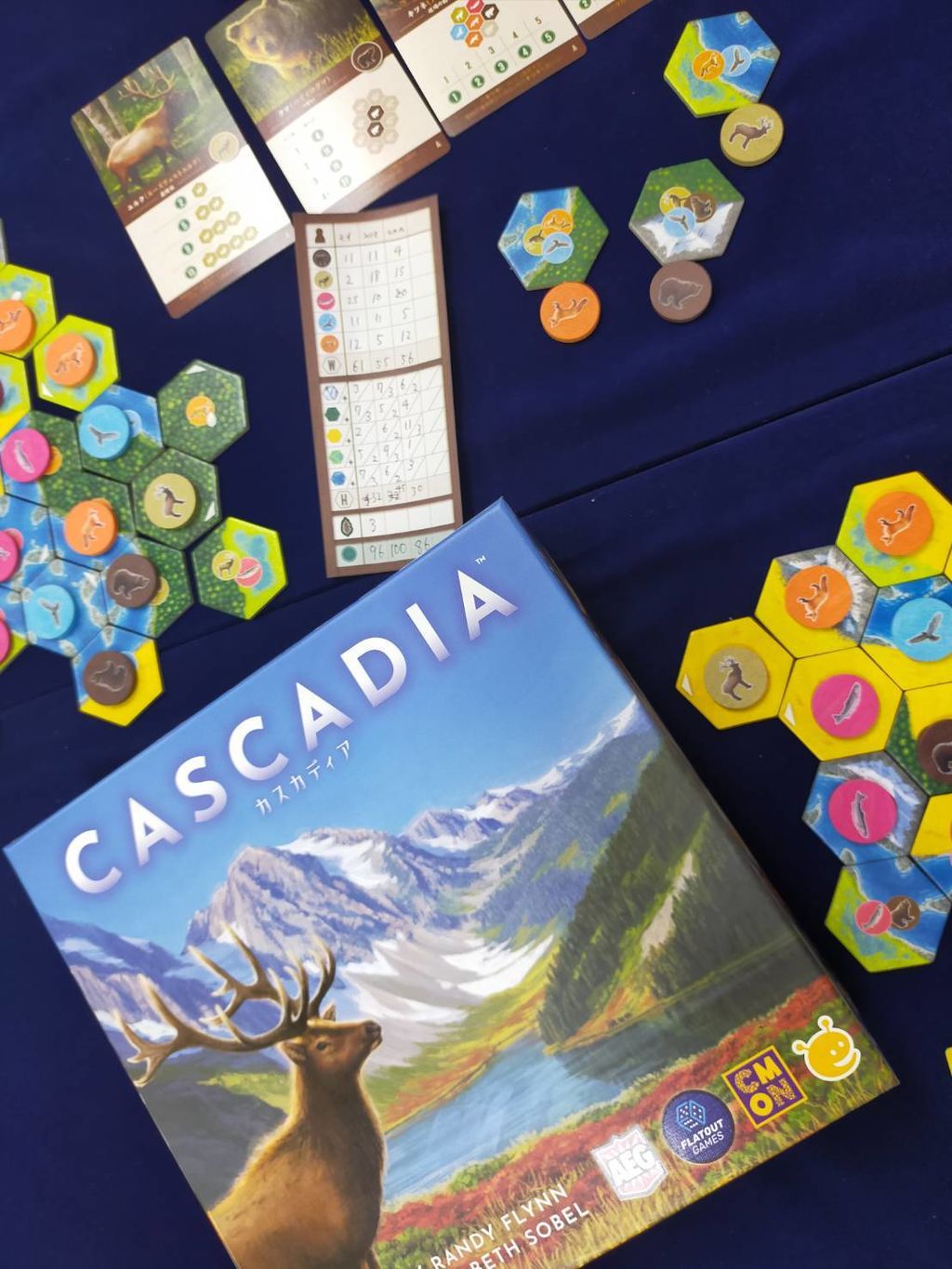 【新品未開封】カスカディア　ボードゲーム　CASCADIA Board Game