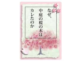 なぜ、中庭の桜の木はカレたのか（Naze Nakaniwa no Sakura no Ki ha Karetanoka）