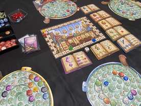 【未開封】クアックサルバー 完全日本語版 (Die Quacksalber von Quedlinburg) Amazon.com: Schmidt Spiele 49447 The Quacksalber of