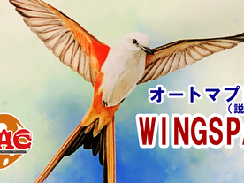 ウイングスパン（Wingspan）