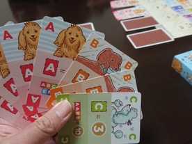 いぬポーカー（Dog Poker）