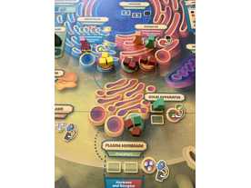 サイトーシス（Cytosis: A Cell Biology Game）