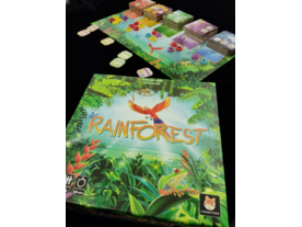 レインフォレスト（Rainforest）