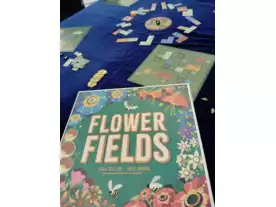 フラワーフィールド（Flower Fields）