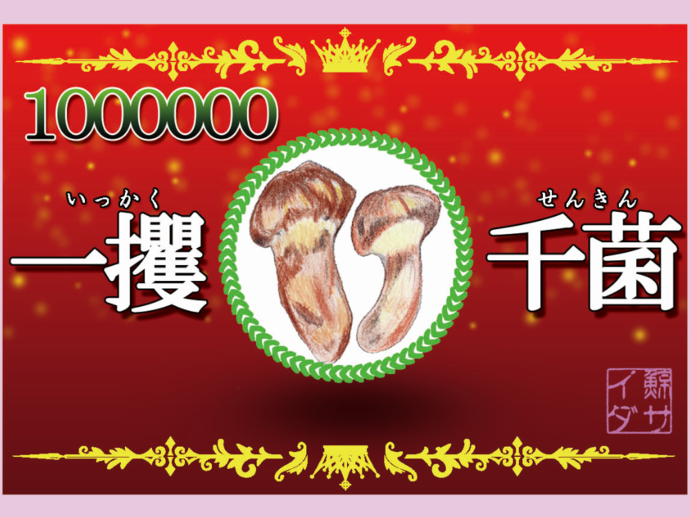 値引きしました　日本のきのこ 全3回 隔月定期便 》 きのこ の 詰め合わせ Sサイズ 約1kg