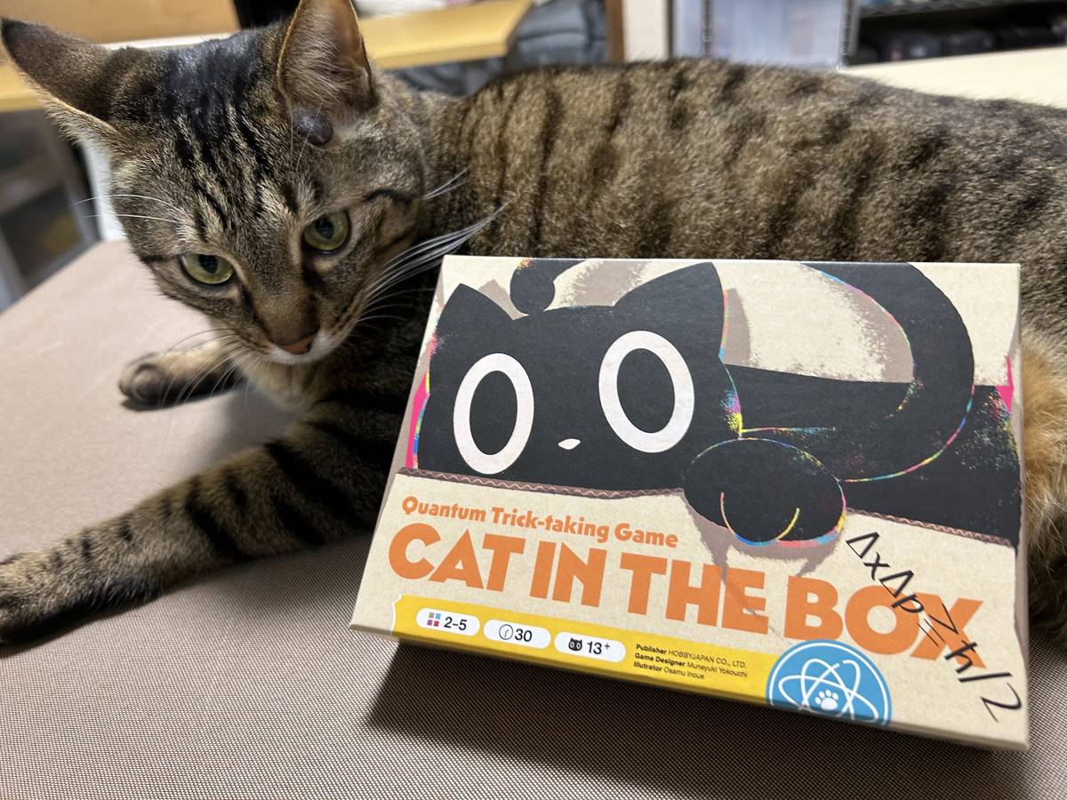キャット・イン・ザ・ボックス（Cat in the box）の画像 #88129 ぱん さん