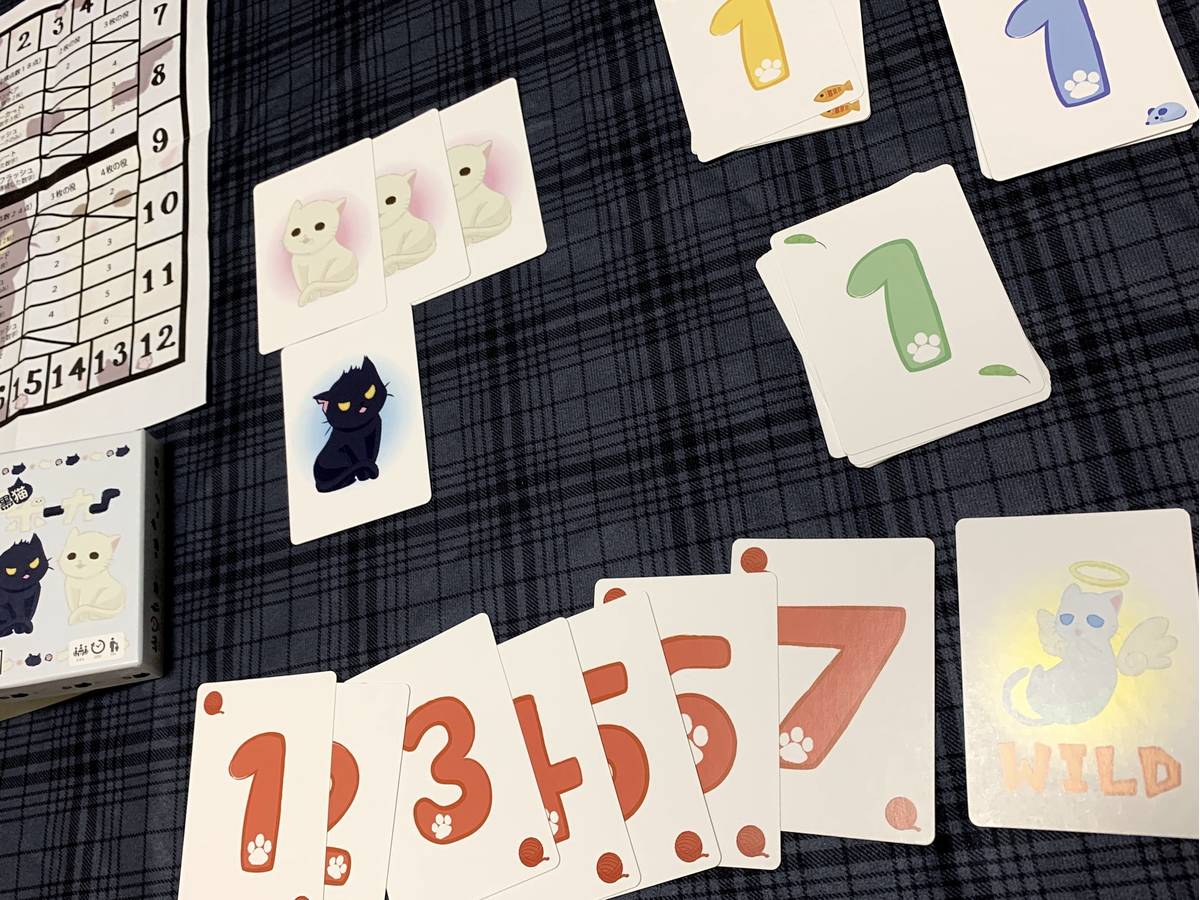 黒猫ポーカー（Kuroneko Poker）の画像 #59744 ロキ@大阪市内さん