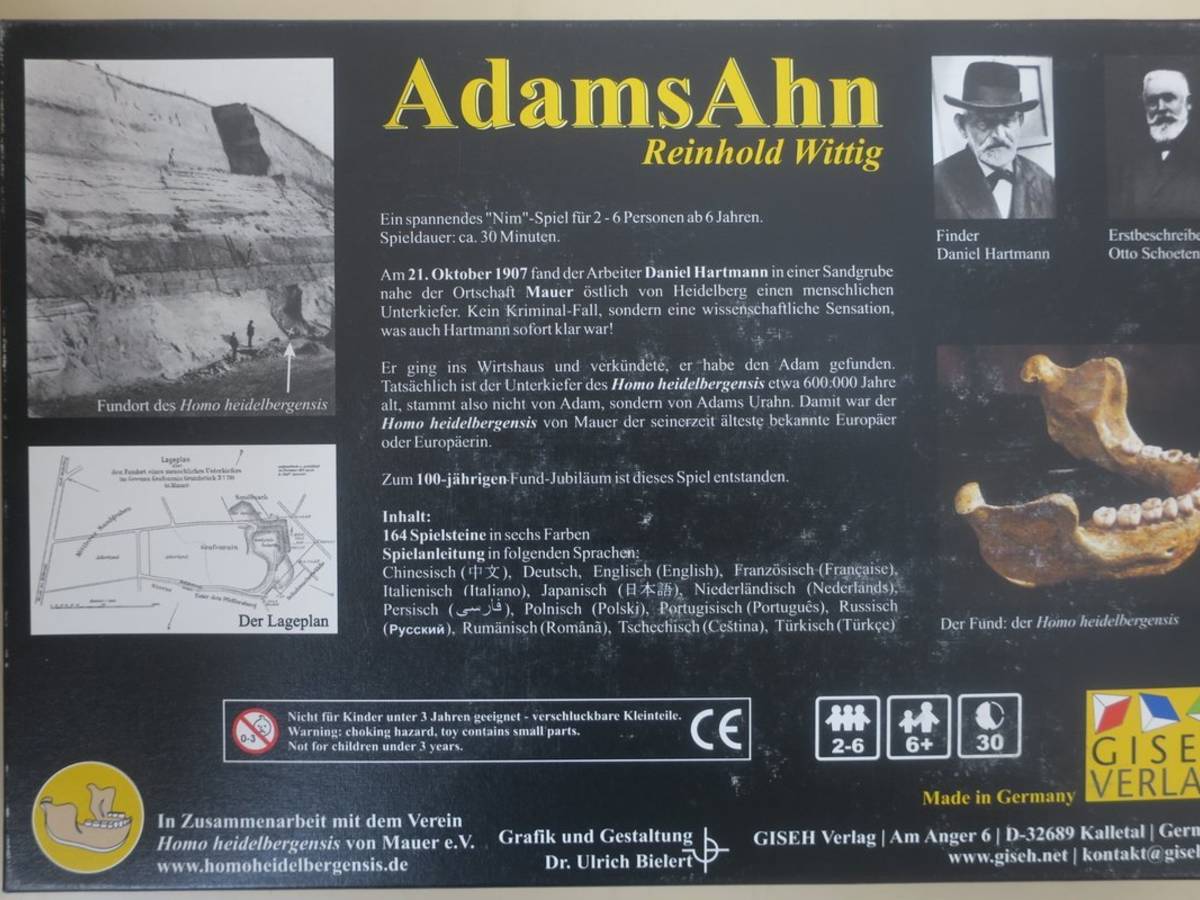 アダムの先祖（Adams Ahn）の画像 #47249 店主さん