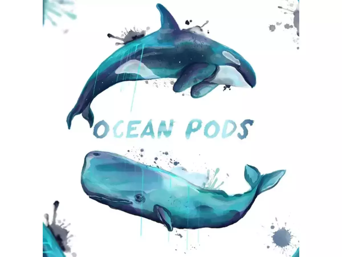 オーシャンポッズ（Ocean Pods）の画像 #84981 まつながさん