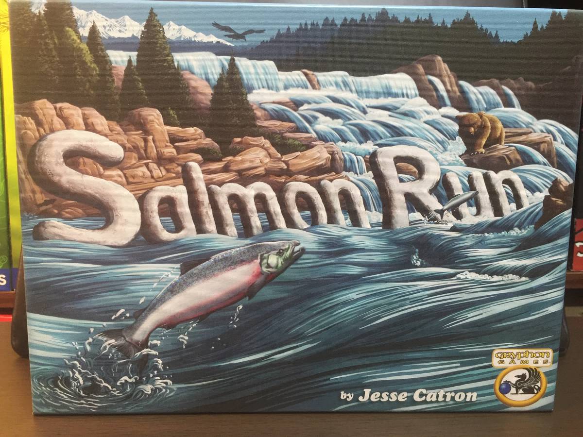 サケの遡上（Salmon Run）の画像 #35712 nAoさん