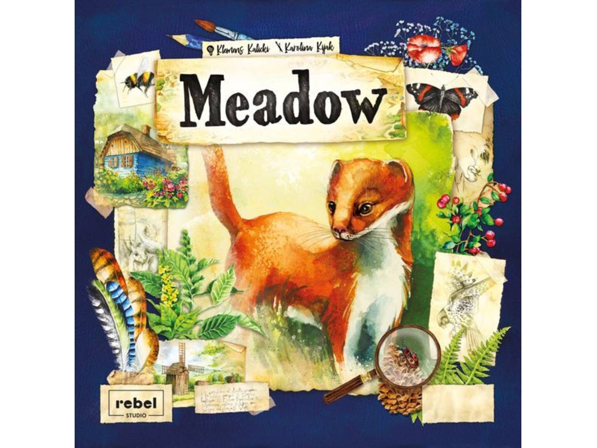 メドウ（Meadow）の画像 #71601 まつながさん