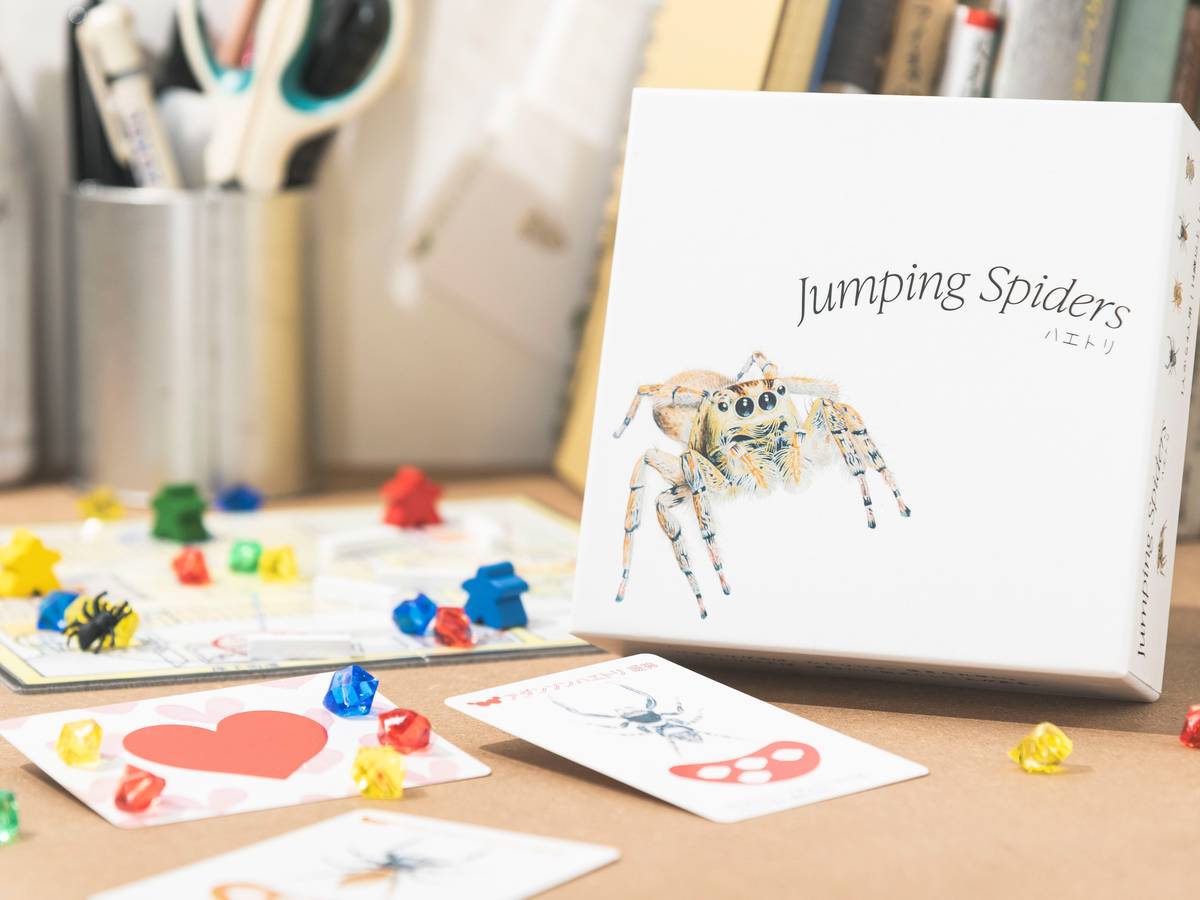 ハエトリ（Jumping Spiders）の画像 #86188 Kyu Takaiさん