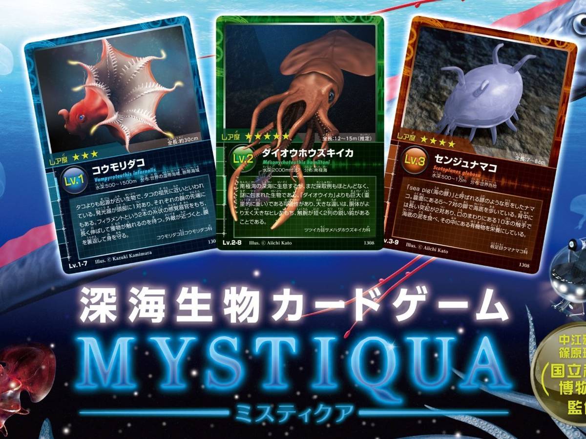 深海生物カードゲーム ミスティクア（Mystiqua）の画像 #33005 ボドゲーマ運営事務局さん