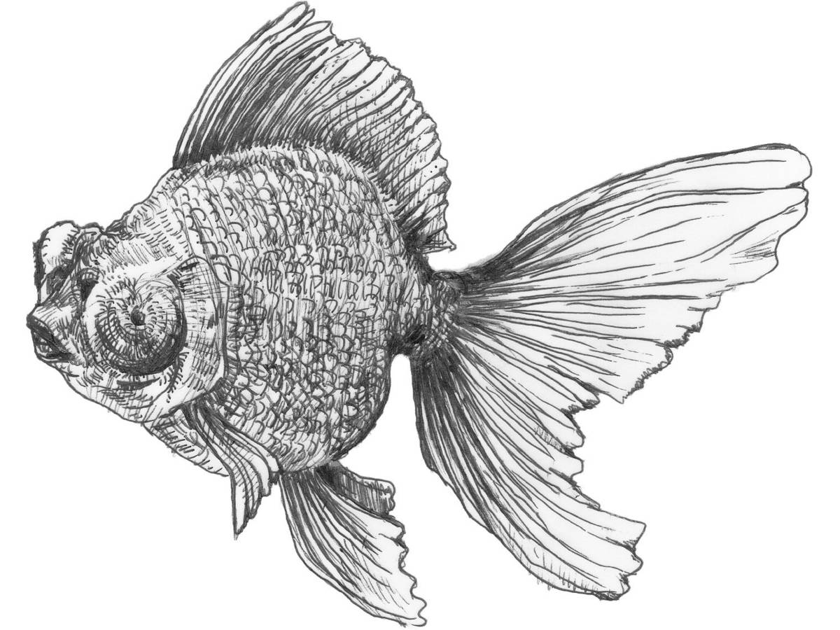 ダイ公望 淡水魚パック（Lord of the Die-anger freshwater fish pack）の画像 #36304 まつながさん