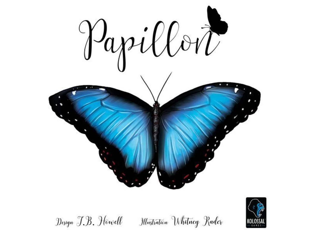パピヨン（Papillon）の画像 #49912 まつながさん