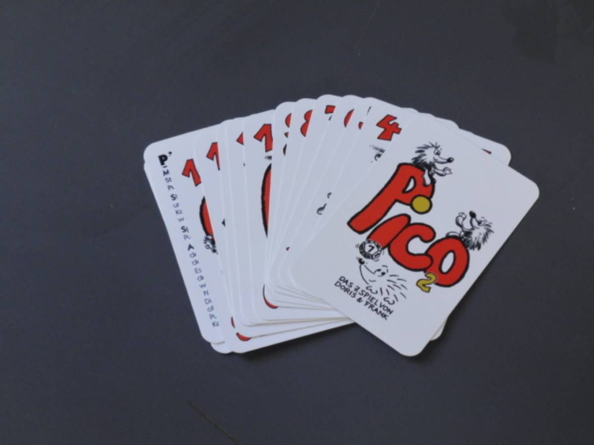 ピコ2（Pico 2）の画像 #55593 Katsumi Egawaさん