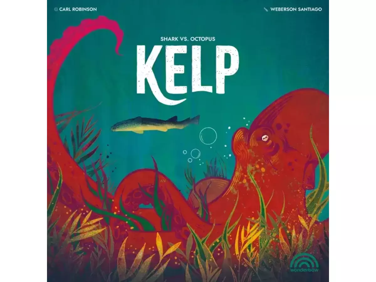 ケルプ（Kelp）の画像 #86973 まつながさん