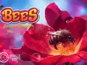 蜜蜂：秘密の王国